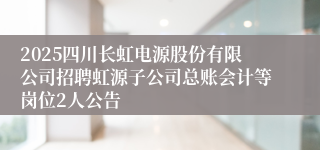 2025四川长虹电源股份有限公司招聘虹源子公司总账会计等岗位2人公告