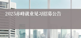 2025赤峰就业见习招募公告