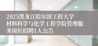2025黑龙江哈尔滨工程大学材料科学与化学工程学院管理服务岗位招聘1人公告
