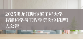 2025黑龙江哈尔滨工程大学智能科学与工程学院岗位招聘1人公告