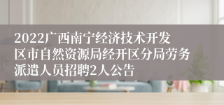 2022广西南宁经济技术开发区市自然资源局经开区分局劳务派遣人员招聘2人公告