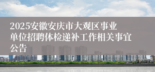 2025安徽安庆市大观区事业单位招聘体检递补工作相关事宜公告