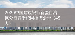 2020中国建设银行新疆自治区分行春季校园招聘公告（45人）