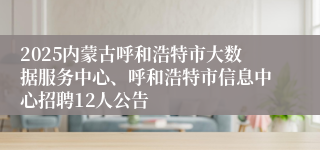 2025内蒙古呼和浩特市大数据服务中心、呼和浩特市信息中心招聘12人公告
