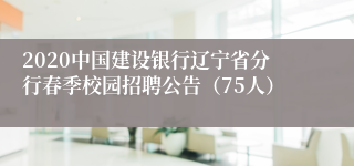 2020中国建设银行辽宁省分行春季校园招聘公告（75人）