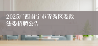 2025广西南宁市青秀区委政法委招聘公告