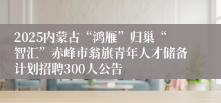 2025内蒙古“鸿雁”归巢“智汇”赤峰市翁旗青年人才储备计划招聘300人公告