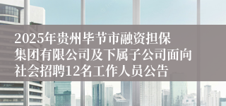 2025年贵州毕节市融资担保集团有限公司及下属子公司面向社会招聘12名工作人员公告