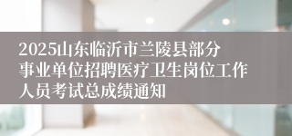 2025山东临沂市兰陵县部分事业单位招聘医疗卫生岗位工作人员考试总成绩通知