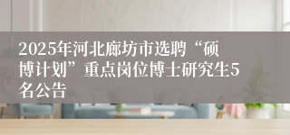 2025年河北廊坊市选聘“硕博计划”重点岗位博士研究生5名公告