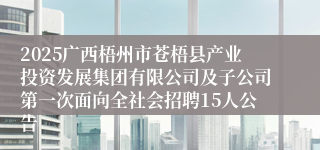 2025广西梧州市苍梧县产业投资发展集团有限公司及子公司第一次面向全社会招聘15人公告