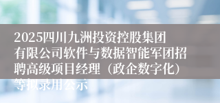 2025四川九洲投资控股集团有限公司软件与数据智能军团招聘高级项目经理（政企数字化）等拟录用公示