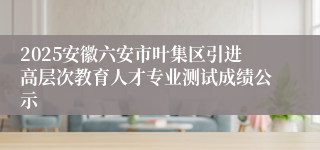2025安徽六安市叶集区引进高层次教育人才专业测试成绩公示