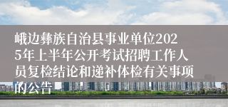 峨边彝族自治县事业单位2025年上半年公开考试招聘工作人员复检结论和递补体检有关事项的公告