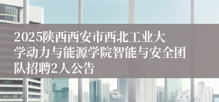 2025陕西西安市西北工业大学动力与能源学院智能与安全团队招聘2人公告