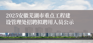 2025安徽芜湖市重点工程建设管理处招聘拟聘用人员公示