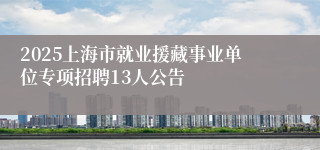 2025上海市就业援藏事业单位专项招聘13人公告