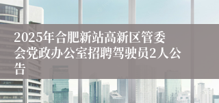 2025年合肥新站高新区管委会党政办公室招聘驾驶员2人公告