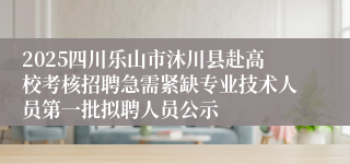 2025四川乐山市沐川县赴高校考核招聘急需紧缺专业技术人员第一批拟聘人员公示