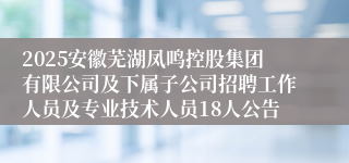 2025安徽芜湖凤鸣控股集团有限公司及下属子公司招聘工作人员及专业技术人员18人公告