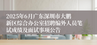 2025年6月广东深圳市大鹏新区综合办公室招聘编外人员笔试成绩及面试事项公告