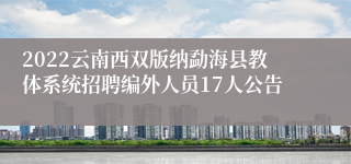 2022云南西双版纳勐海县教体系统招聘编外人员17人公告