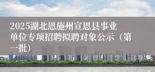 2025湖北恩施州宣恩县事业单位专项招聘拟聘对象公示（第一批）