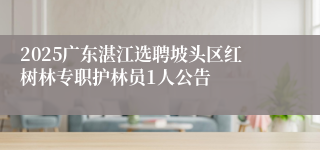 2025广东湛江选聘坡头区红树林专职护林员1人公告