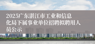 2025广东湛江市工业和信息化局下属事业单位招聘拟聘用人员公示