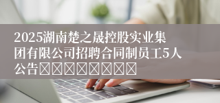 2025湖南楚之晟控股实业集团有限公司招聘合同制员工5人公告								