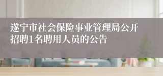遂宁市社会保险事业管理局公开招聘1名聘用人员的公告