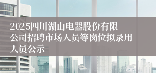 2025四川湖山电器股份有限公司招聘市场人员等岗位拟录用人员公示