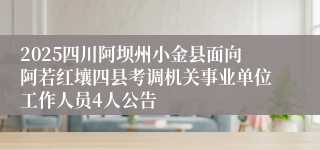 2025四川阿坝州小金县面向阿若红壤四县考调机关事业单位工作人员4人公告 