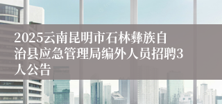 2025云南昆明市石林彝族自治县应急管理局编外人员招聘3人公告