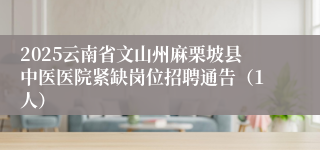 2025云南省文山州麻栗坡县中医医院紧缺岗位招聘通告（1人）