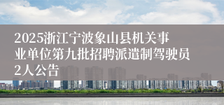 2025浙江宁波象山县机关事业单位第九批招聘派遣制驾驶员2人公告
