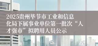 2025贵州毕节市工业和信息化局下属事业单位第一批次“人才强市”拟聘用人员公示