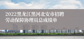 2022黑龙江黑河北安市招聘劳动保障协理员总成绩单