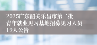 2025广东韶关乐昌市第二批青年就业见习基地招募见习人员19人公告