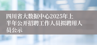四川省大数据中心2025年上半年公开招聘工作人员拟聘用人员公示