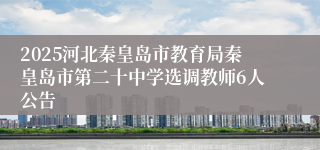 2025河北秦皇岛市教育局秦皇岛市第二十中学选调教师6人公告