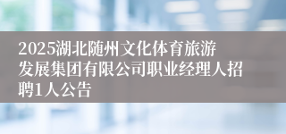 2025湖北随州文化体育旅游发展集团有限公司职业经理人招聘1人公告