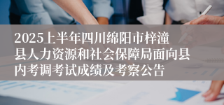 2025上半年四川绵阳市梓潼县人力资源和社会保障局面向县内考调考试成绩及考察公告