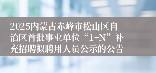 2025内蒙古赤峰市松山区自治区首批事业单位“1+N”补充招聘拟聘用人员公示的公告