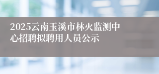 2025云南玉溪市林火监测中心招聘拟聘用人员公示