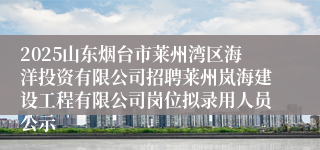 2025山东烟台市莱州湾区海洋投资有限公司招聘莱州岚海建设工程有限公司岗位拟录用人员公示