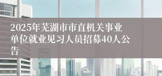 2025年芜湖市市直机关事业单位就业见习人员招募40人公告