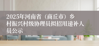 2025年河南省（商丘市）乡村振兴村级协理员拟招用递补人员公示