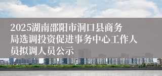 2025湖南邵阳市洞口县商务局选调投资促进事务中心工作人员拟调人员公示