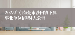 2025广东东莞市沙田镇下属事业单位招聘4人公告